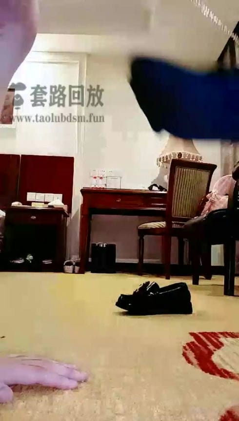 【TZ8623】鱼鱼 开发超爱鞋袜小白狗狗 10013