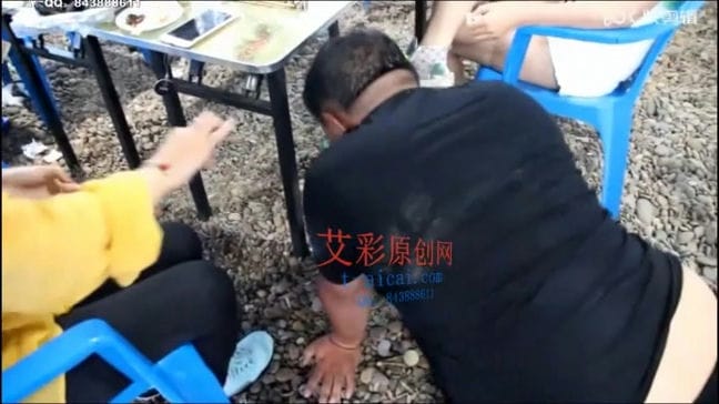 【艾彩1156】【沈阳梦溪团队】海边众人面前玩狗 YC-190727-5